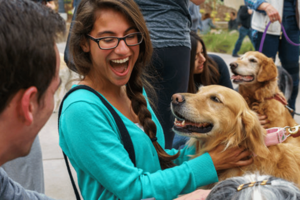 Pepperdine Mental Health Counseling